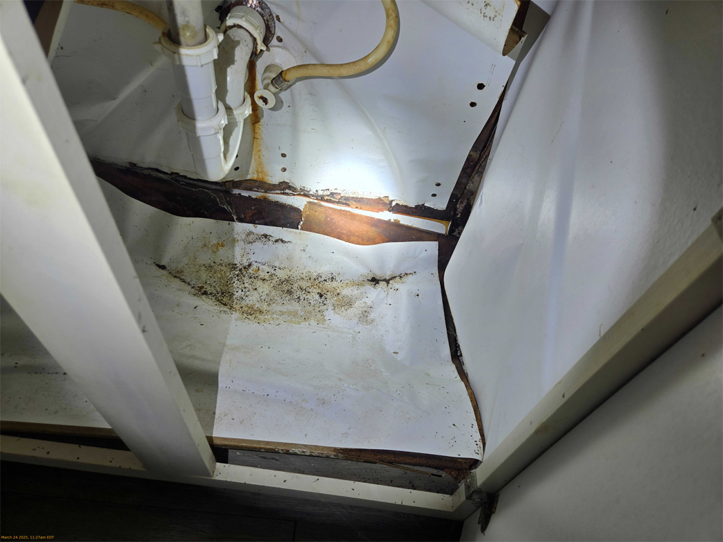 Mold Remediation