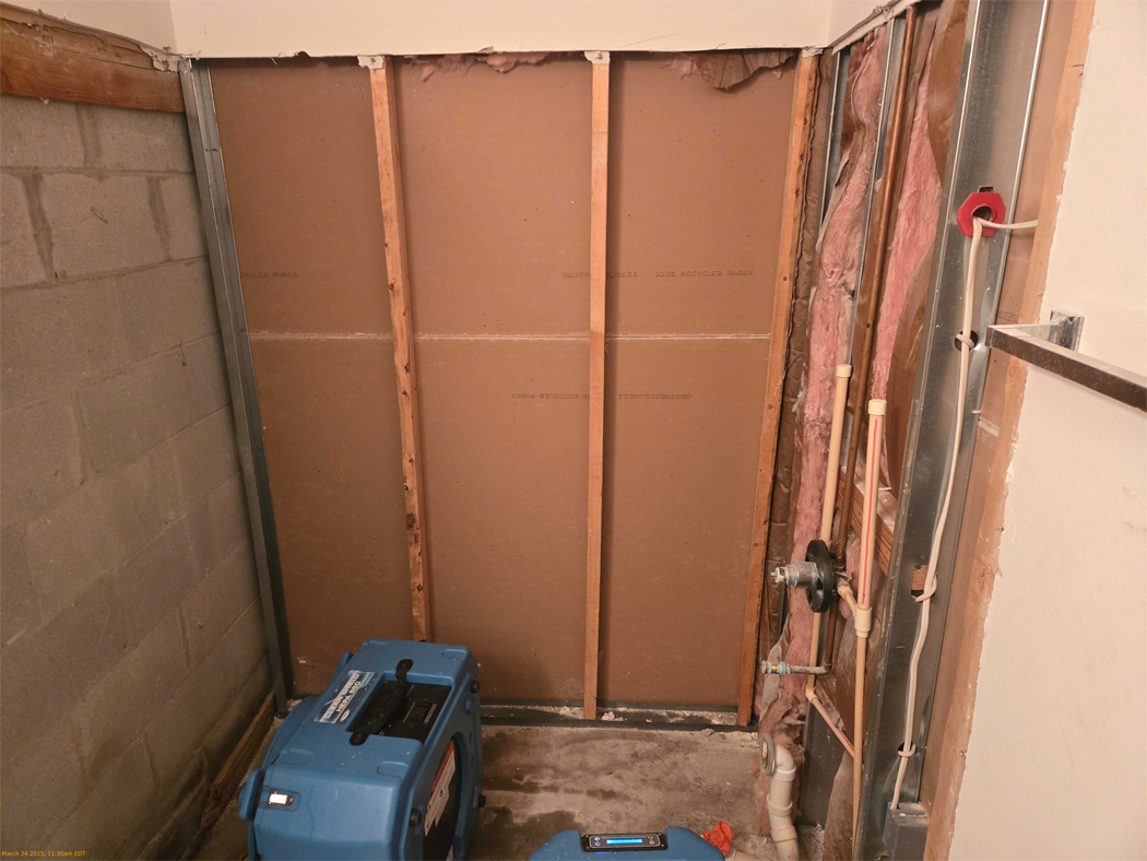 Preventive Mold Services