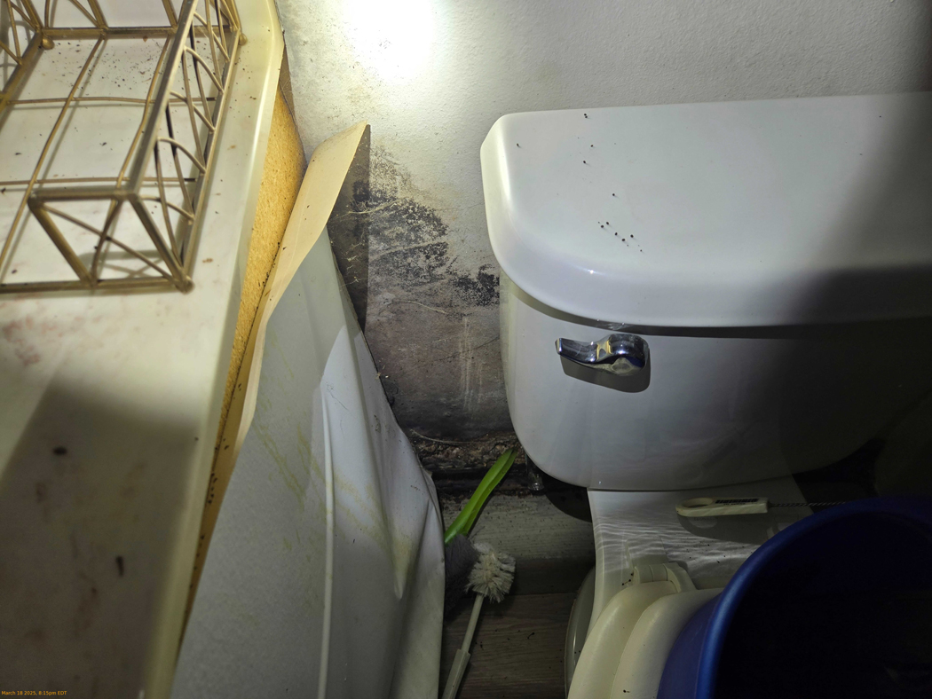 Mold Testing and Remediation