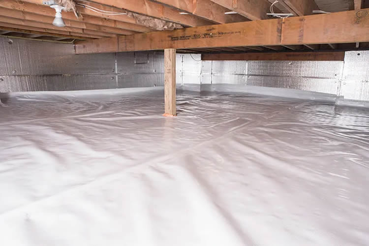 Crawlspace & Attic Treatments