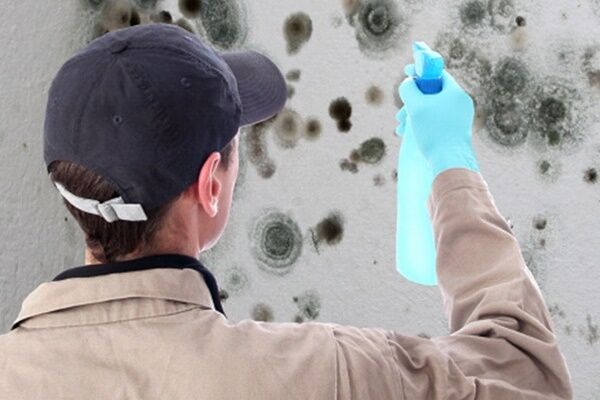 Environmental Testing