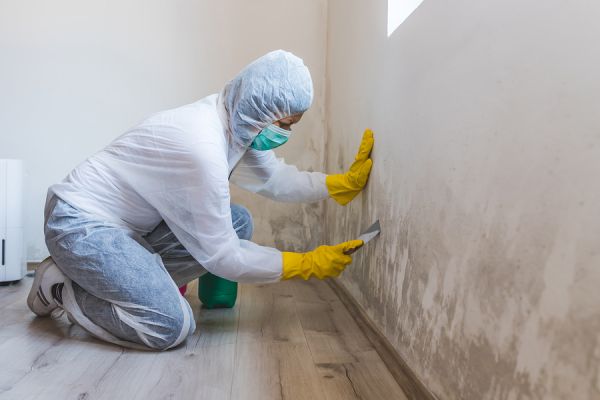 Environmental_Testing