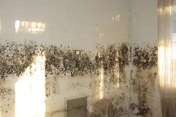 Environmental_Testing