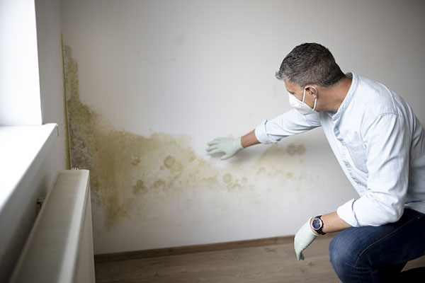 Mold Inspection Melbourne FL