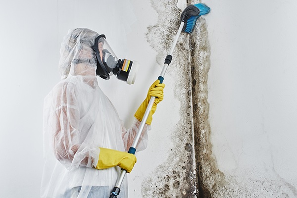 Removal Services