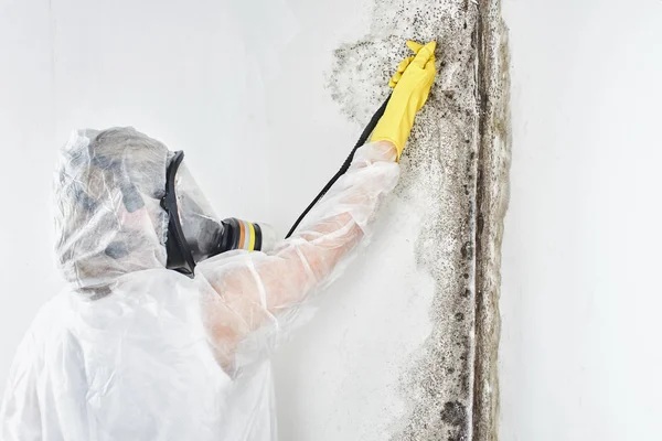 Removal Services