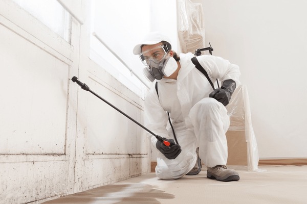 Removal Services